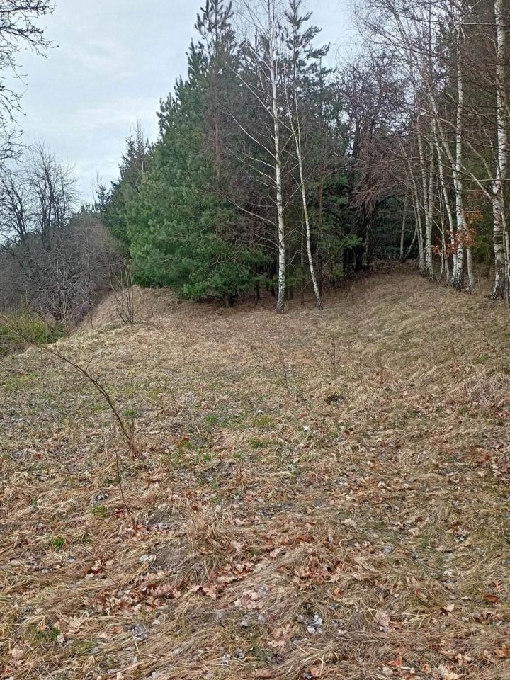 Działka rolno-budowlana Poświętne, ul. Polna. Zdjęcie 10