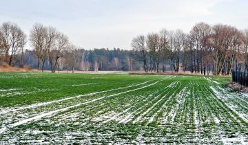 Działka budowlana Kownaty Żędowe