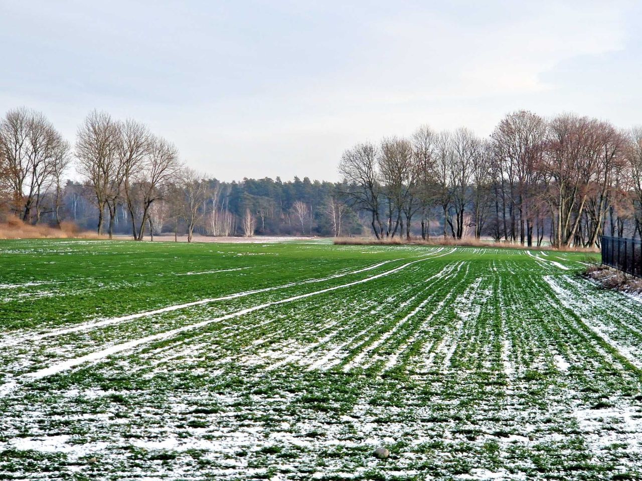 Działka budowlana Kownaty Żędowe
