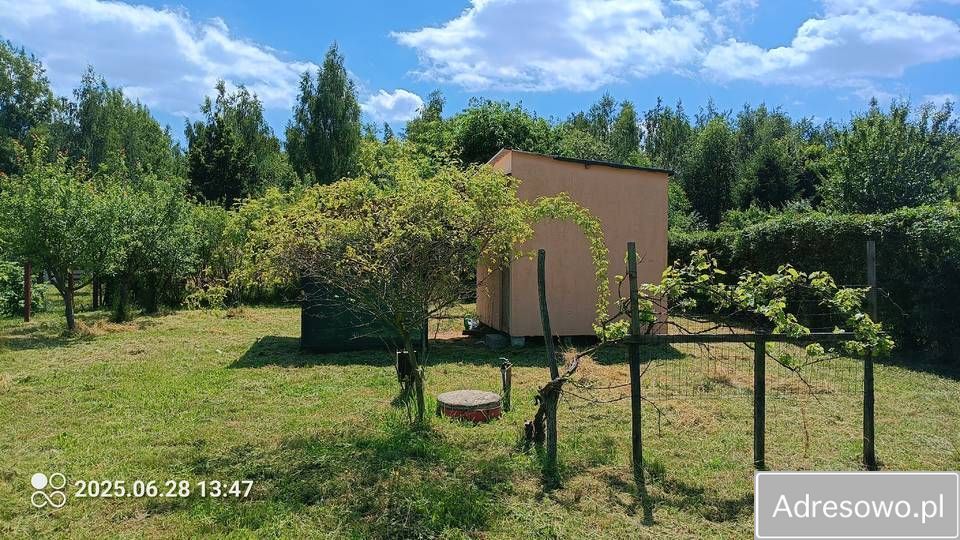 Działka rod Lubin. Zdjęcie 5