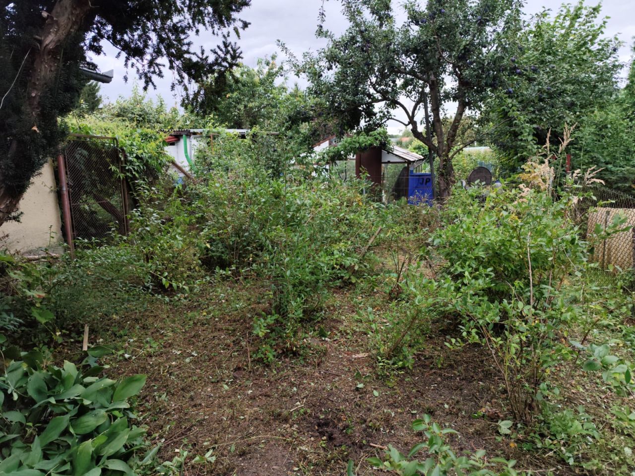 Działka rod Tarnobrzeg Wielopole. Zdjęcie 6