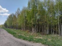 Działka budowlana Cewlino, os. Przy Lesie. Zdjęcie 3