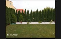 dom wolnostojący Wilczyn. Zdjęcie 4