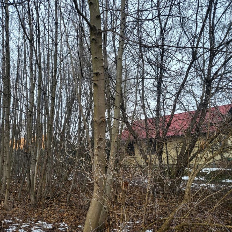 Działka budowlana Oświęcim Stare Miasto, ul. Zaborska. Zdjęcie 6