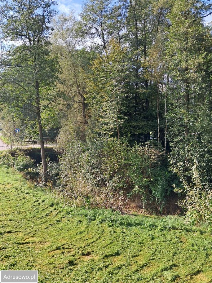 dom wolnostojący, 3 pokoje Ryglice, ul. ks. Jakuba Wyrwy. Zdjęcie 16