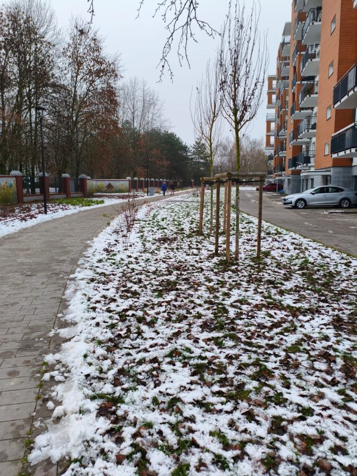 Mieszkanie 2-pokojowe Płock, ul. gen. Franciszka Kleeberga