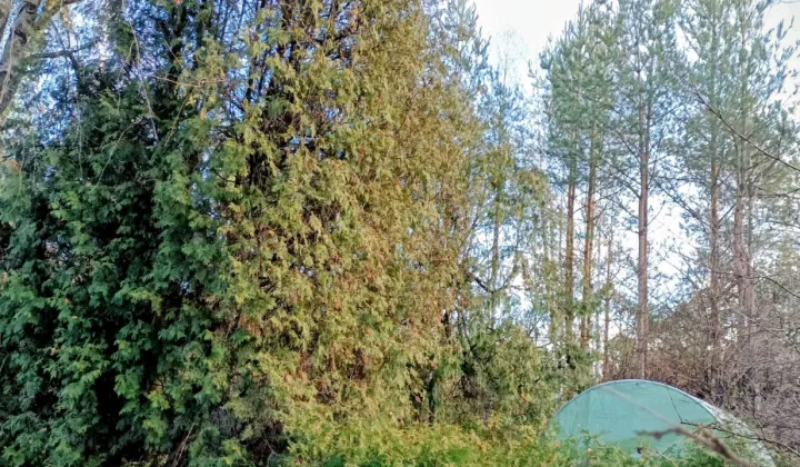 Działka rod Białystok Bagnówka, ul. Krzysztofa Pendereckiego