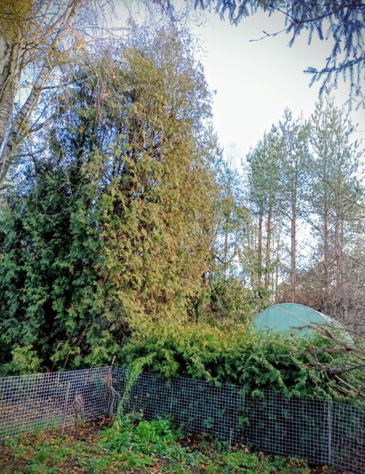 Działka rod Białystok Bagnówka, ul. Krzysztofa Pendereckiego. Zdjęcie 2