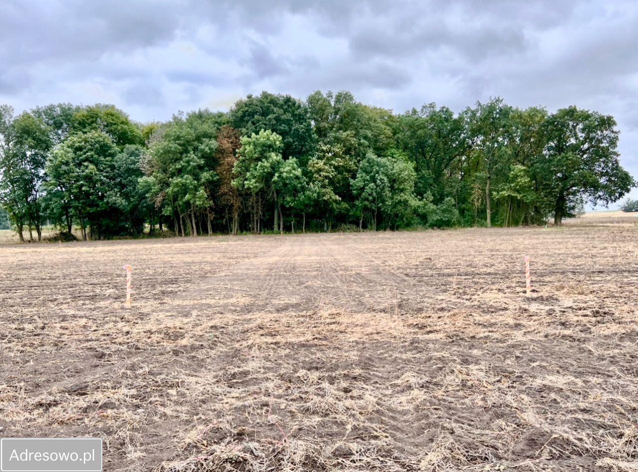 Działka budowlana Mielno. Zdjęcie 12