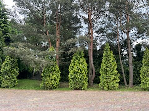 dom wolnostojący, 15 pokoi Częstochowa Grabówka, ul. Ikara. Zdjęcie 25