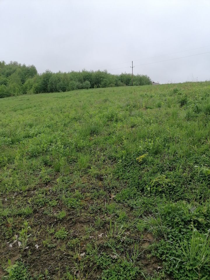 Działka budowlana Paszyn Półanki. Zdjęcie 4