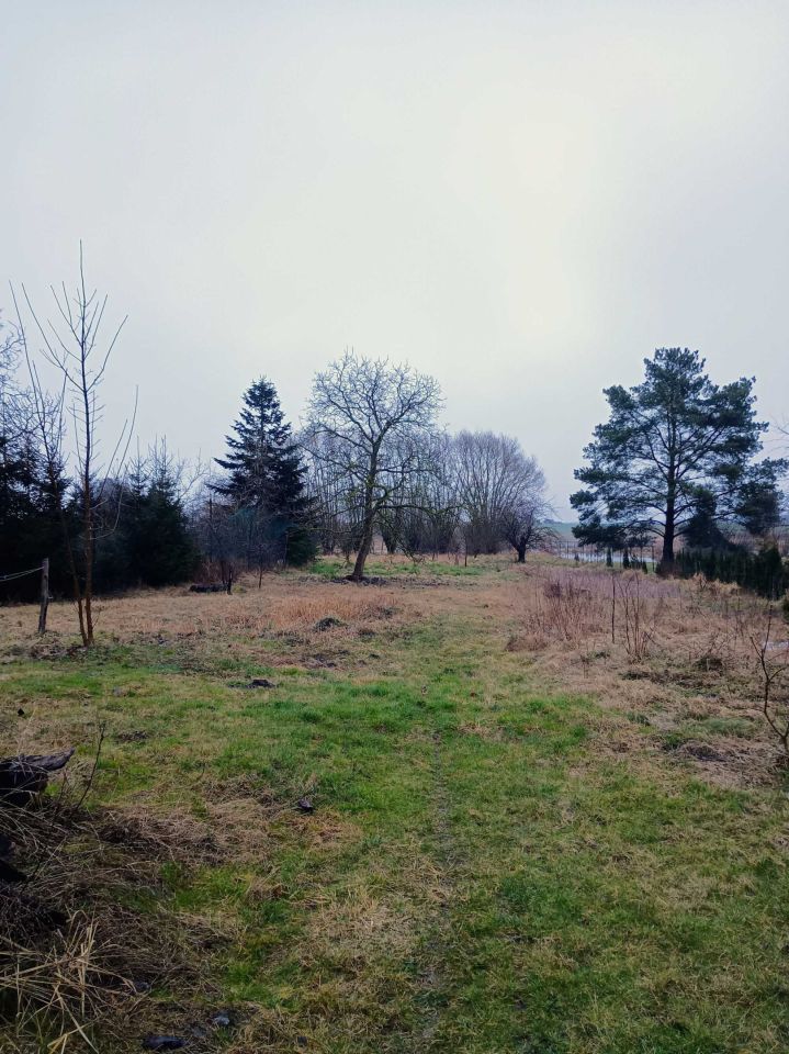 gospodarstwo Dłusko Gryfińskie. Zdjęcie 3