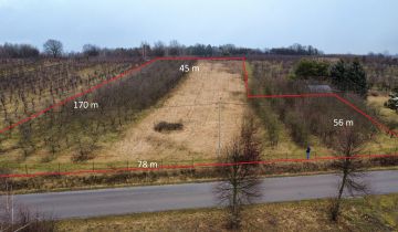 Działka rolno-budowlana Kazimierz Dolny Jeziorszczyzna