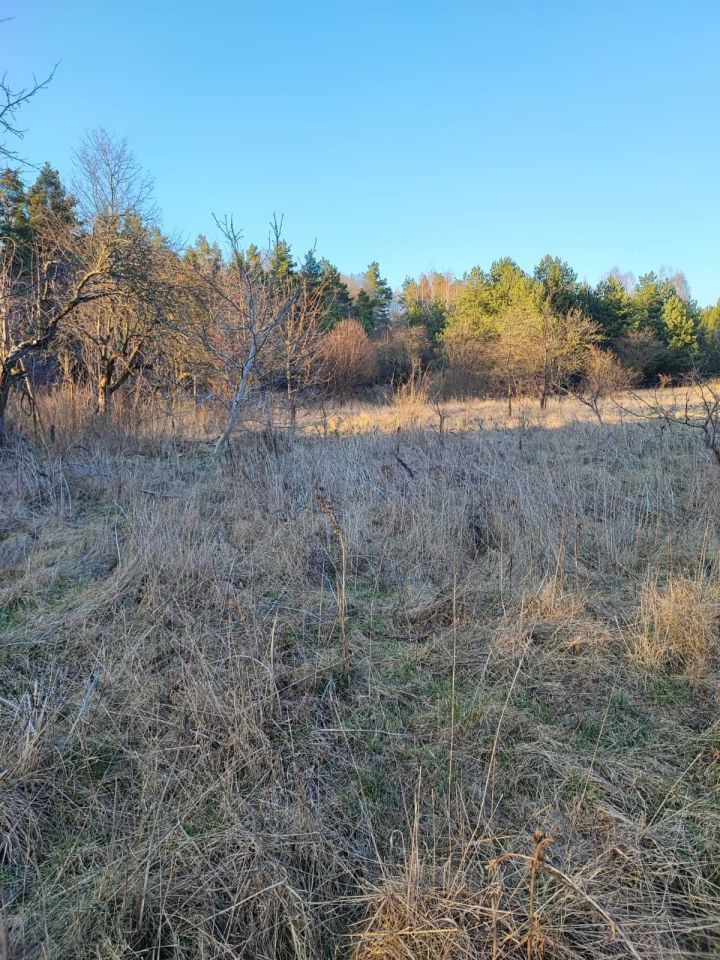 Działka budowlana Porosły, ul. Wspólna. Zdjęcie 4