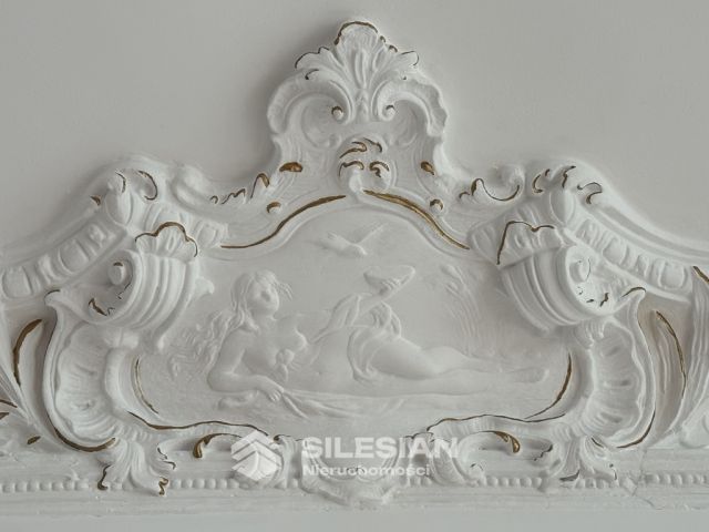 Mieszkanie 8-pokojowe Świdnica Centrum, ul. Stefana Żeromskiego. Zdjęcie 12