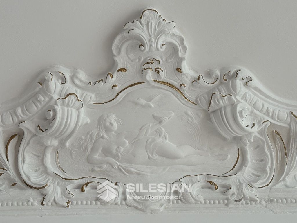 Mieszkanie 8-pokojowe Świdnica Centrum, ul. Stefana Żeromskiego. Zdjęcie 12