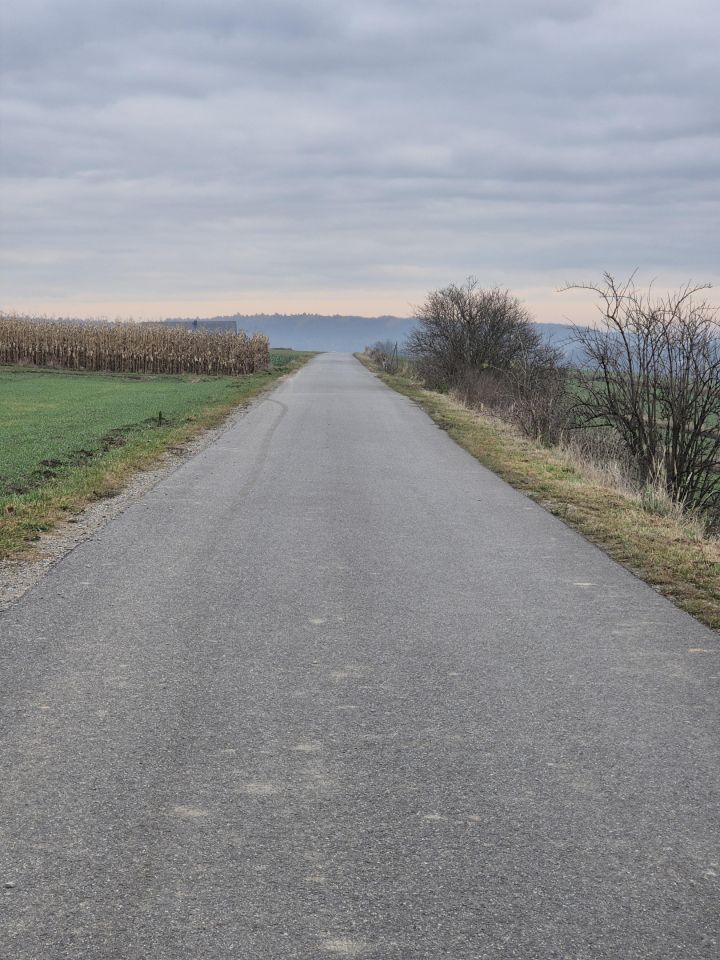 Działka siedliskowa Minoga. Zdjęcie 3