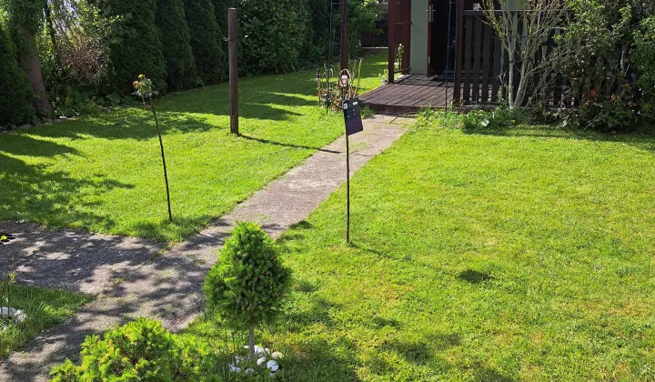 Działka rod Rumia Lotnisko, ul. Kosynierów