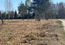 Działka inwestycyjna Bełchatów Domiechowice. Zdjęcie 3