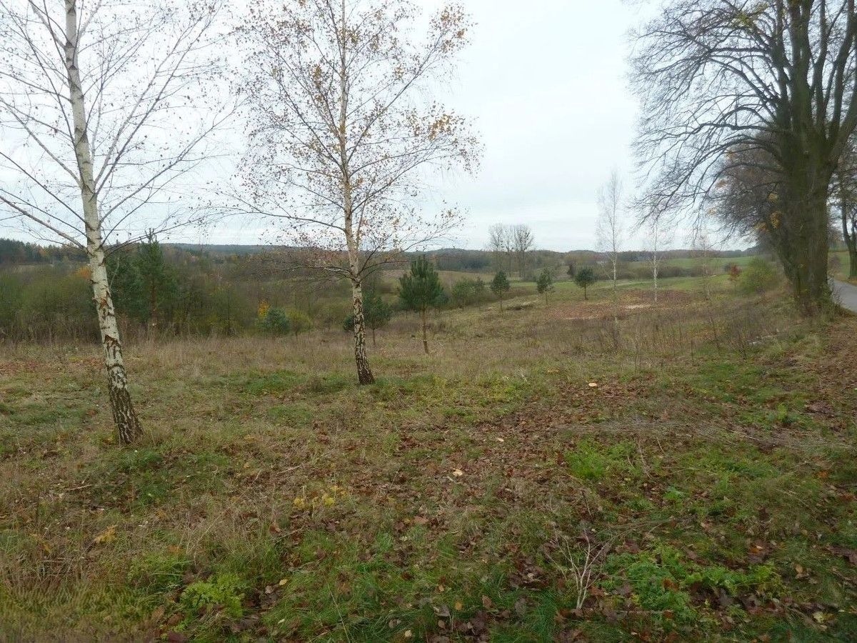 Działka rolno-budowlana Zalesie. Zdjęcie 3