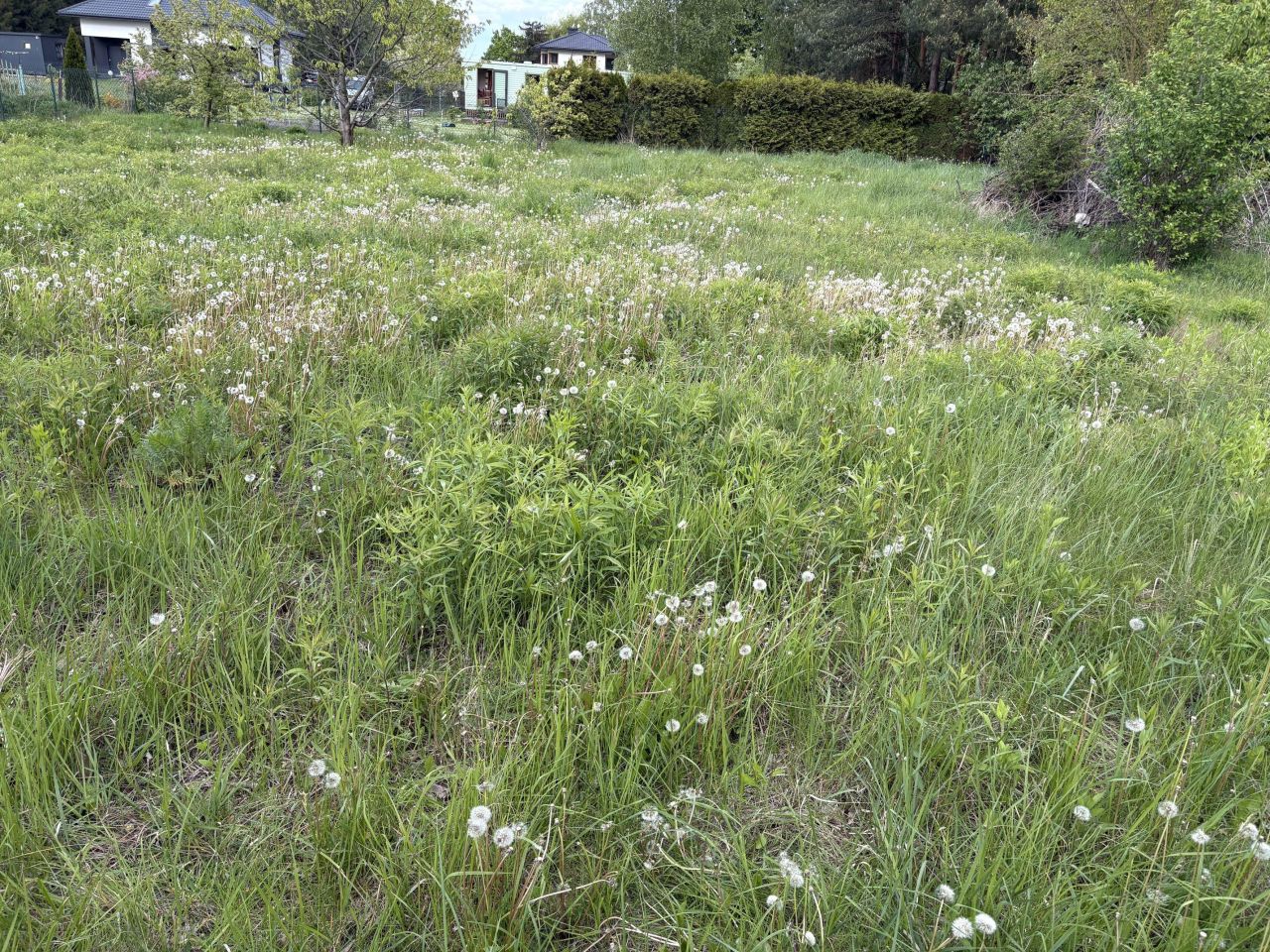 Działka budowlana Rusiec. Zdjęcie 4