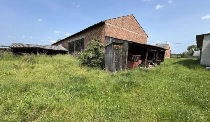 gospodarstwo Delfina