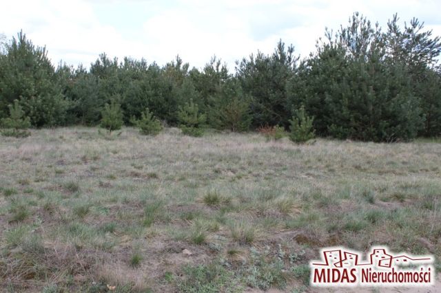 Działka budowlana Kowal. Zdjęcie 3