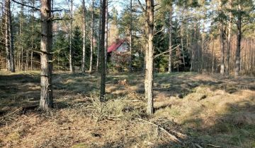 Działka budowlana Okoniny Nadjeziorne