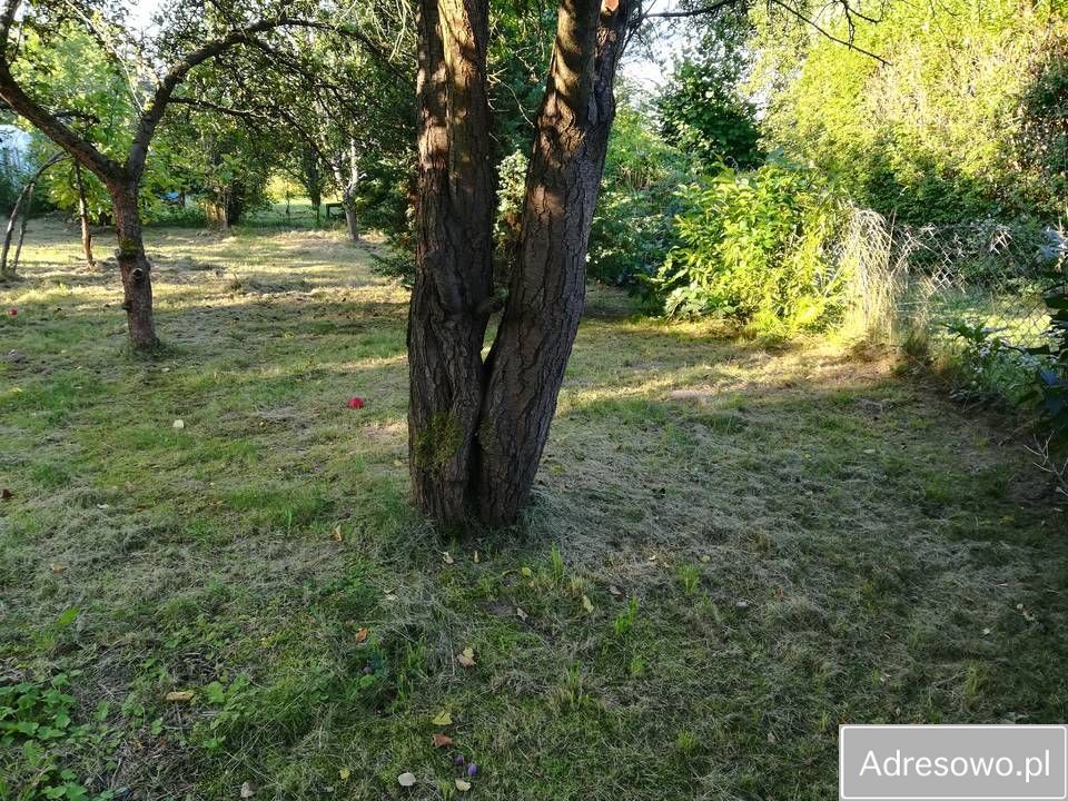 Działka rod Elbląg Krasny Las, ul. Fromborska. Zdjęcie 4