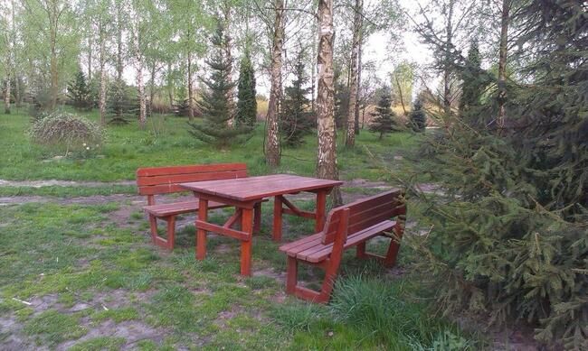 Działka rolno-budowlana Sierzchowy. Zdjęcie 6