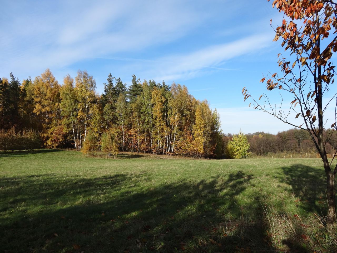 Działka rolno-budowlana Wola Pniewska