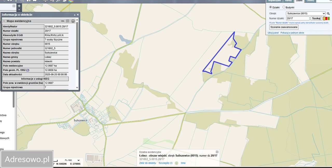 Działka rolna Suliszewice. Zdjęcie 2