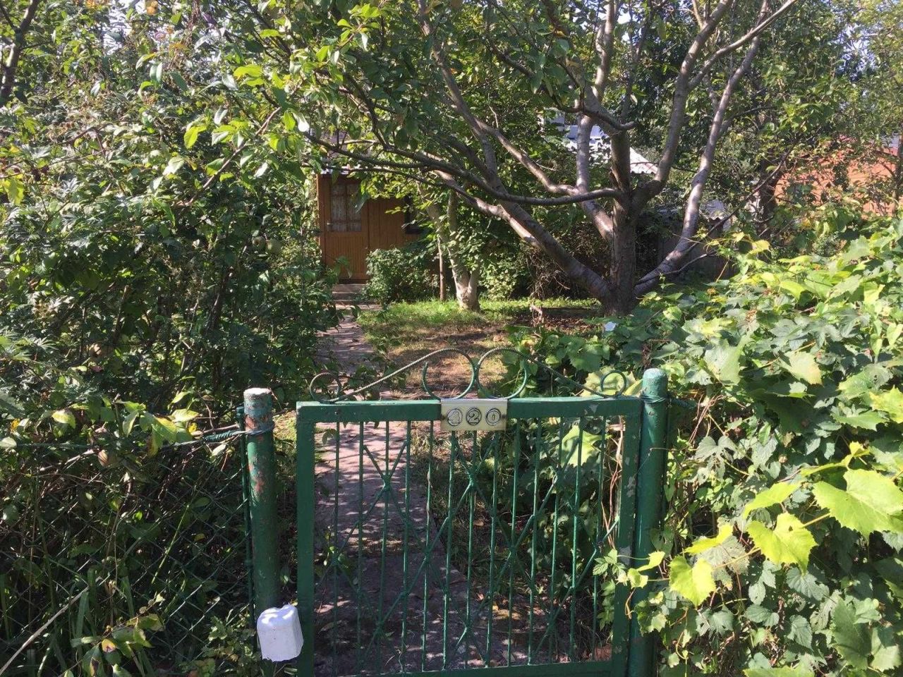 Działka rod Komorów. Zdjęcie 3