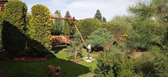 Działka rod Sosnowiec. Zdjęcie 1