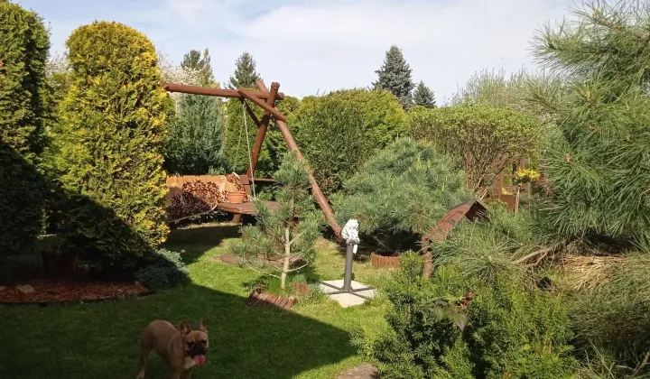 Działka rod Sosnowiec