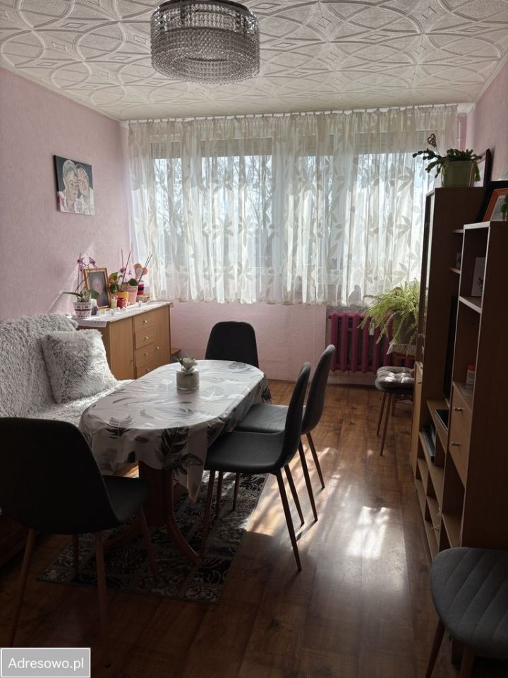 Mieszkanie 3-pokojowe Legnica. Zdjęcie 8