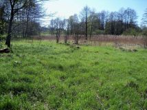 Działka Bogunice. Zdjęcie 3