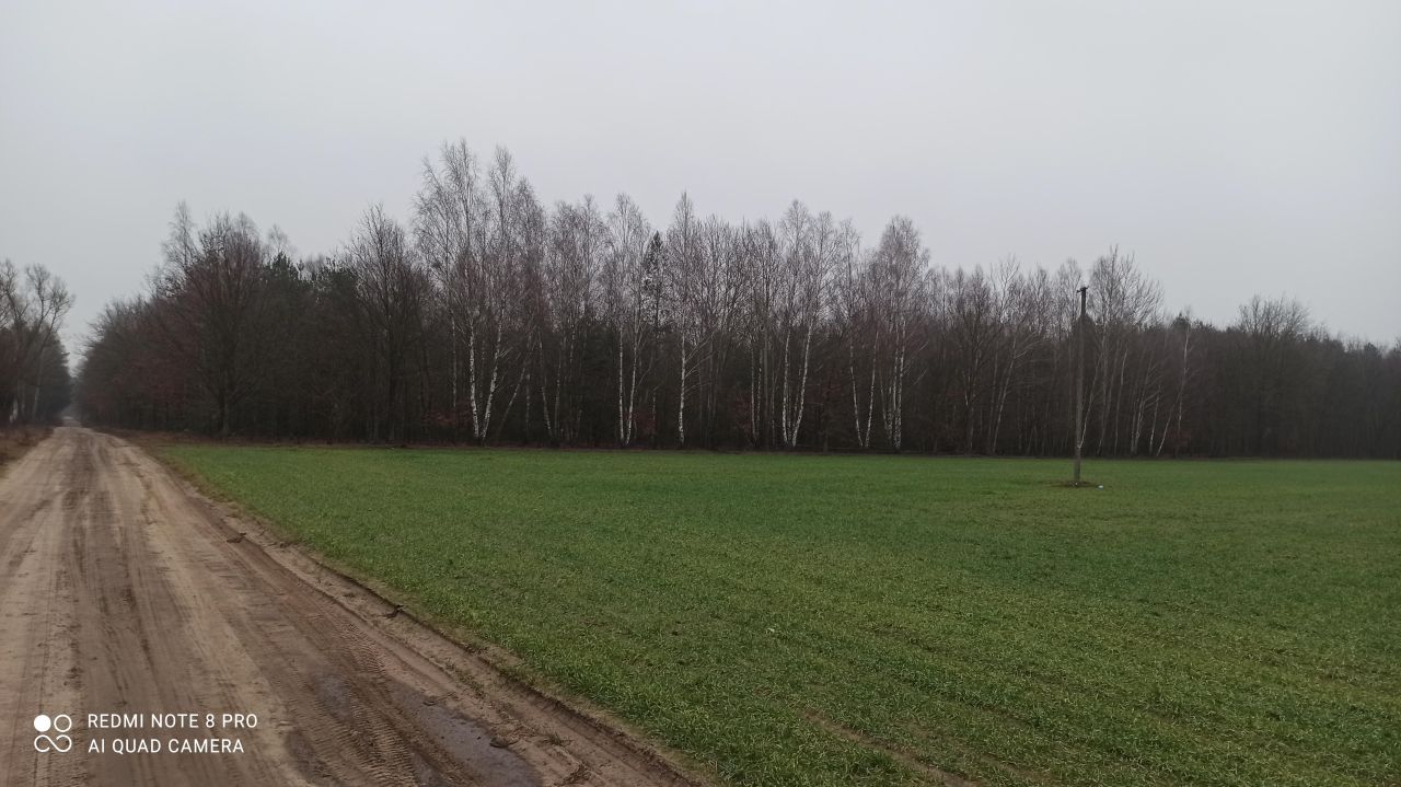 Działka inna Popielżyn Dolny. Zdjęcie 12