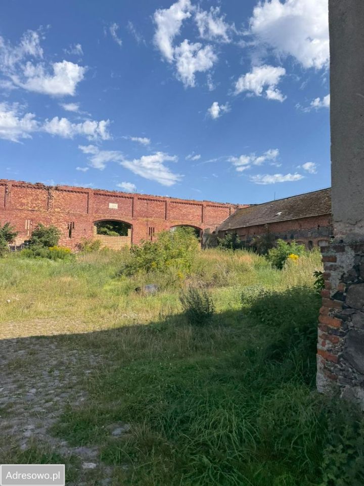 dom wolnostojący, 5 pokoi Dolsko. Zdjęcie 15