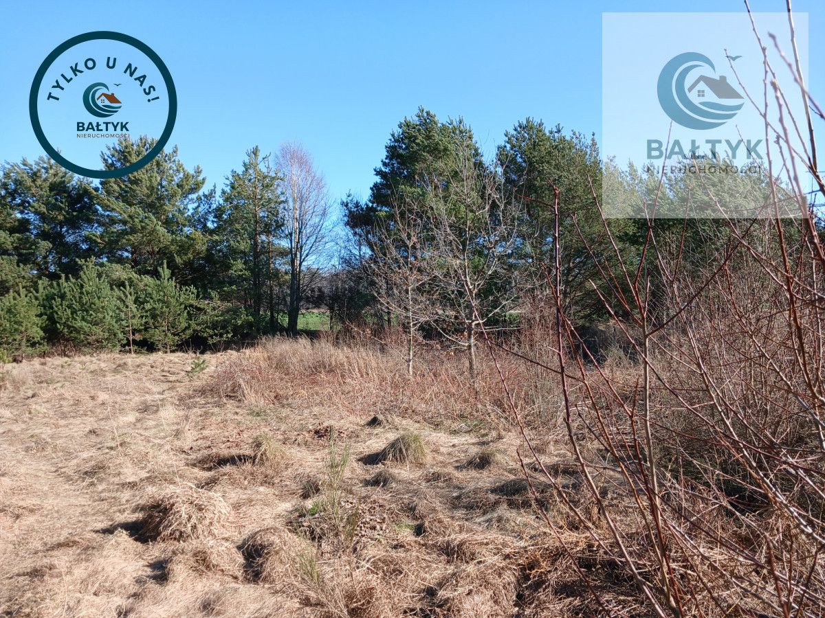 Działka budowlana Gowino. Zdjęcie 3