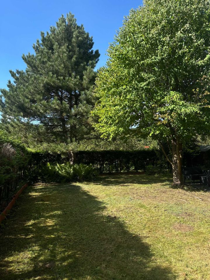 Działka rod Kanie. Zdjęcie 5