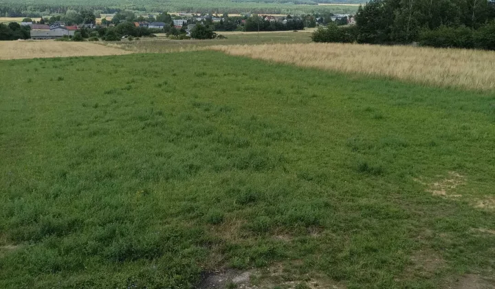 Działka budowlana Sadowie