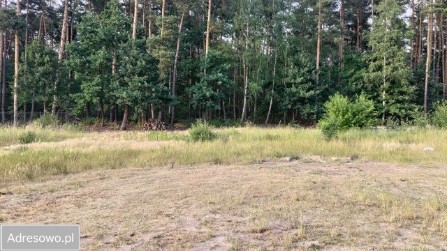 Działka budowlana Warszawa Wawer, ul. Wiązowska. Zdjęcie 4