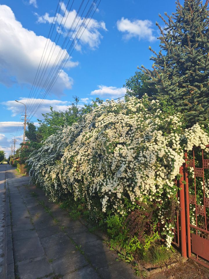 dom wolnostojący, 5 pokoi Łęczyca, Łęczyca. Zdjęcie 3