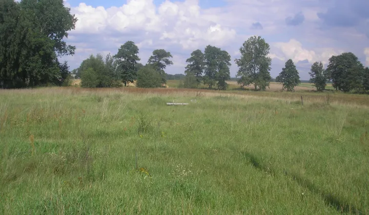 Działka rolna Dzierzązna Szlachecka