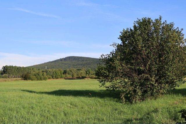 Działka rolno-budowlana Wilków, ul. Łysogórska. Zdjęcie 1