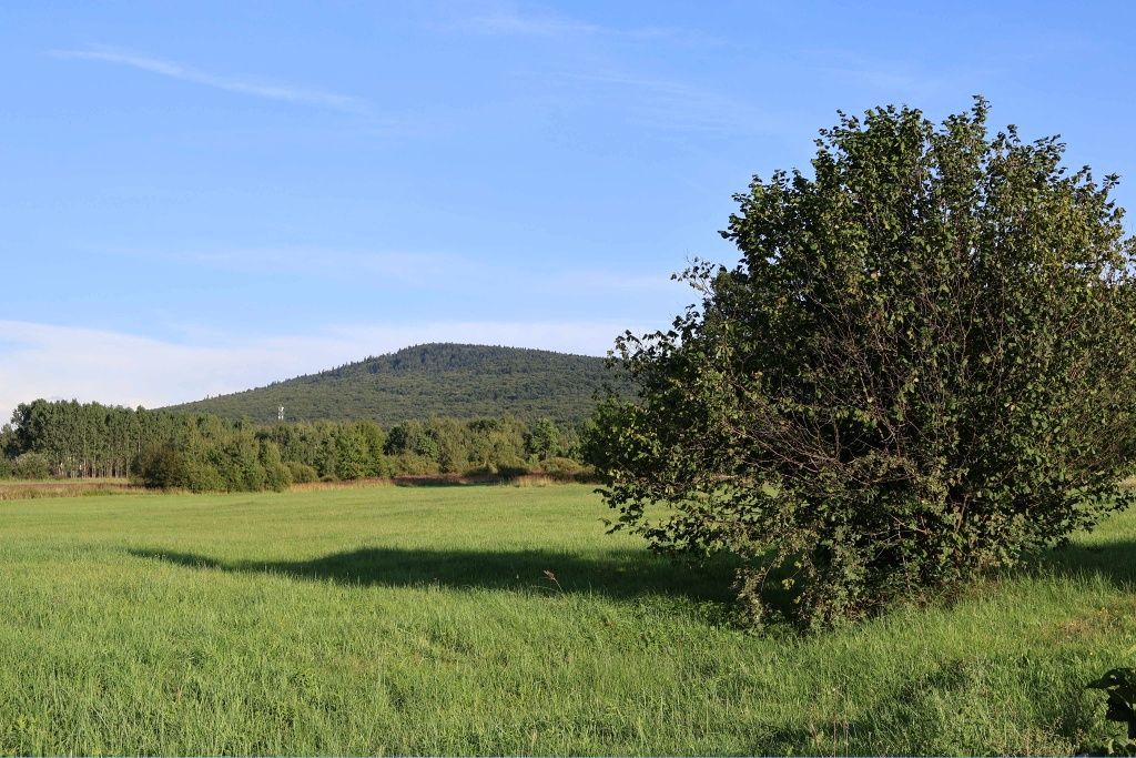 Działka rolno-budowlana Wilków, ul. Łysogórska