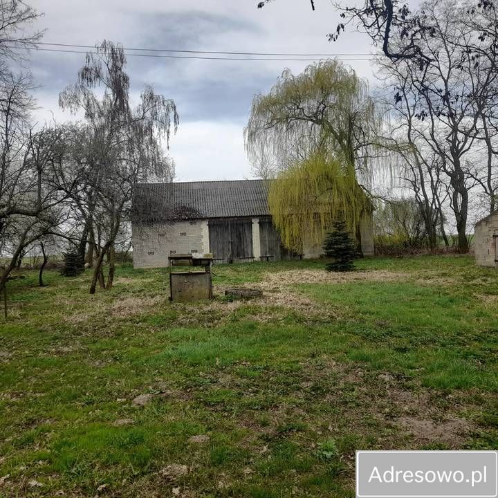 Działka siedliskowa Stare Święcice Nowe Święcice. Zdjęcie 4