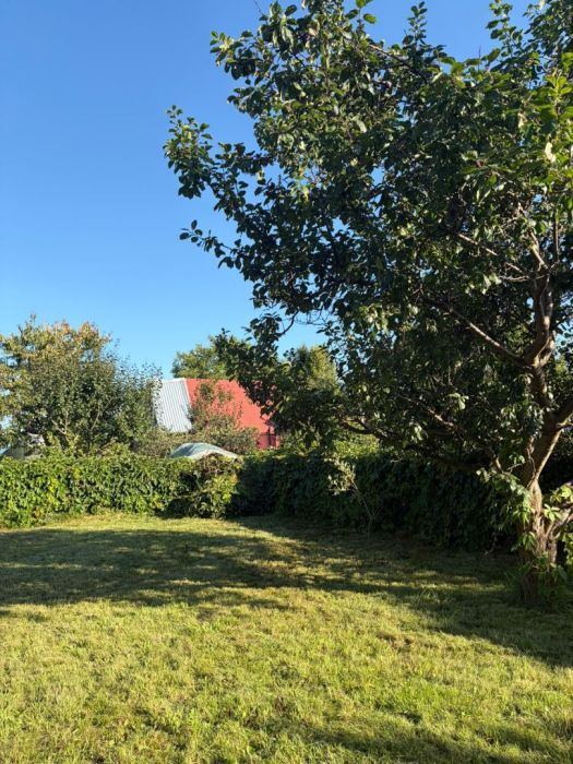 Działka rod Gdańsk Rębiechowo, ul. Nowatorów. Zdjęcie 9