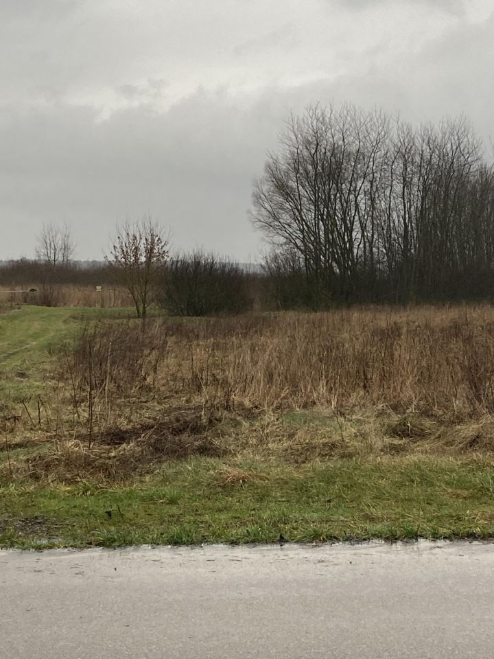 Działka rolna Czechowizna. Zdjęcie 3